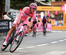 Del Toro