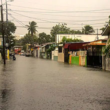 Flood Waters