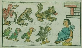 Zoo Animals